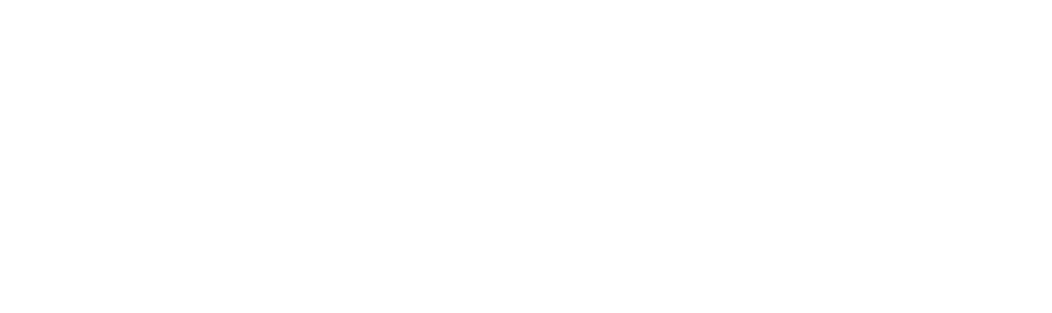 CleenUp logo
